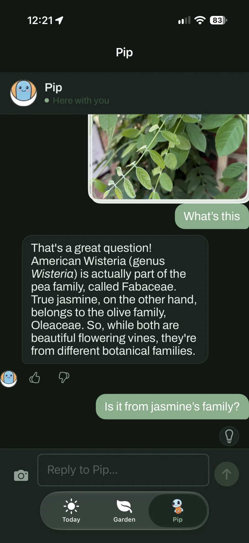Ask Pip questions using photos from your garden.