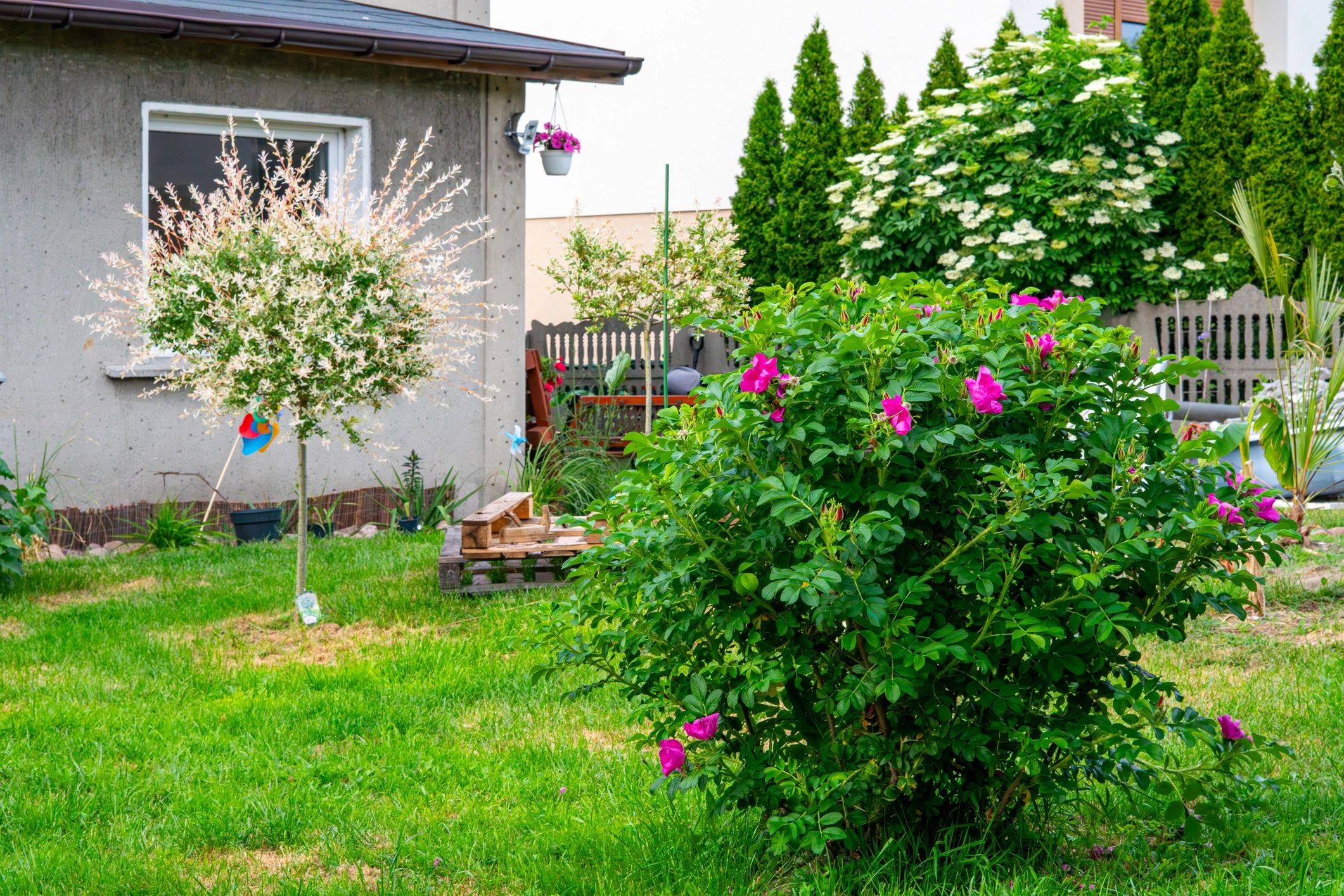 Lush garden with lawn, flowers, and greenery